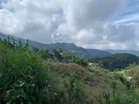 Real estate in La Trinidad, Benguet .
